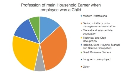 Diversity Household earner